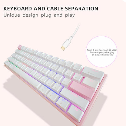 Portable 60% Mechanical Gaming Keyboard LED Backlit Compact 61 Keys Mini Wired Office Keyboard with Blue Switch PBT Keycaps for Windows Laptop PC Mac.（White/Pink）